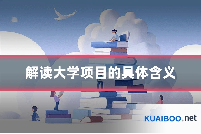 解读大学项目的具体含义