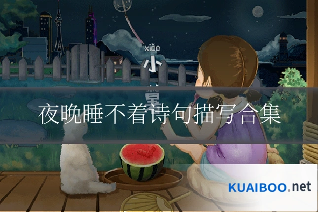 夜晚睡不着诗句描写合集