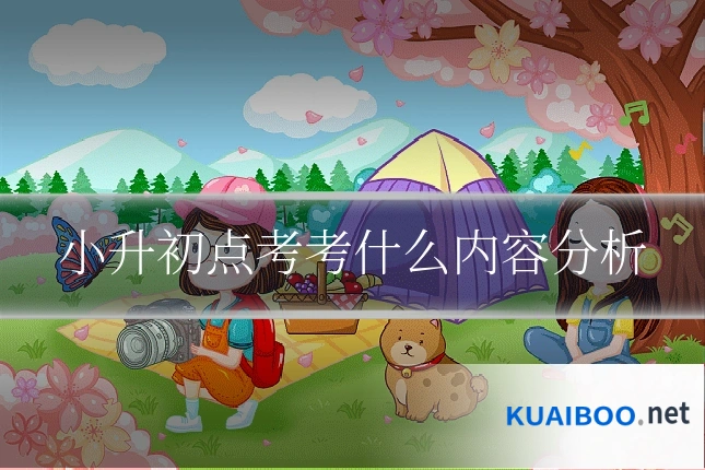 小升初点考考什么内容分析