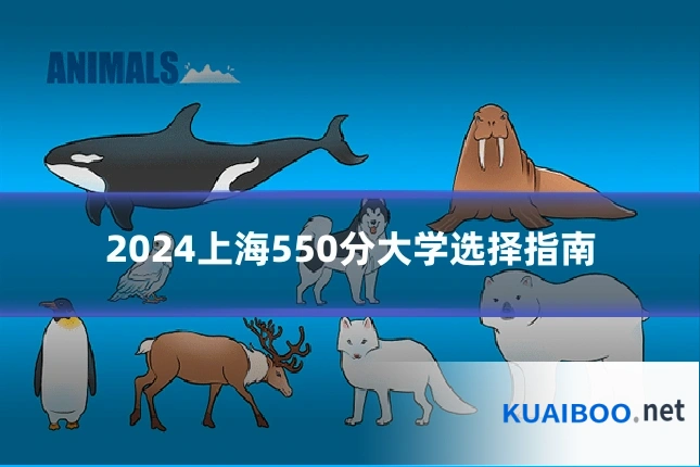 2024上海550分大学选择指南
