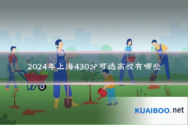 2024年上海430分可选高校有哪些