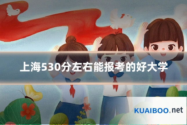上海530分左右能报考的好大学