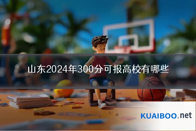 山东2024年300分可报高校有哪些
