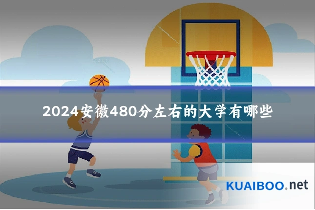 2024安徽480分左右的大学有哪些