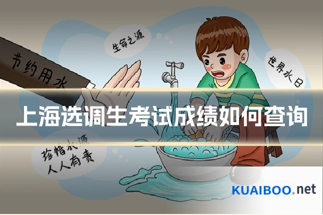 上海选调生考试成绩如何查询