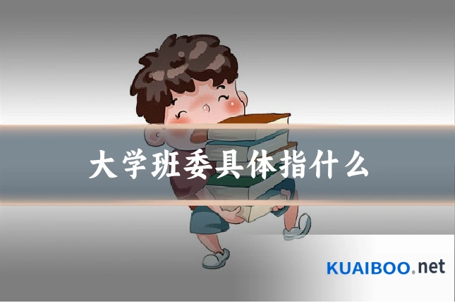 大学班委具体指什么