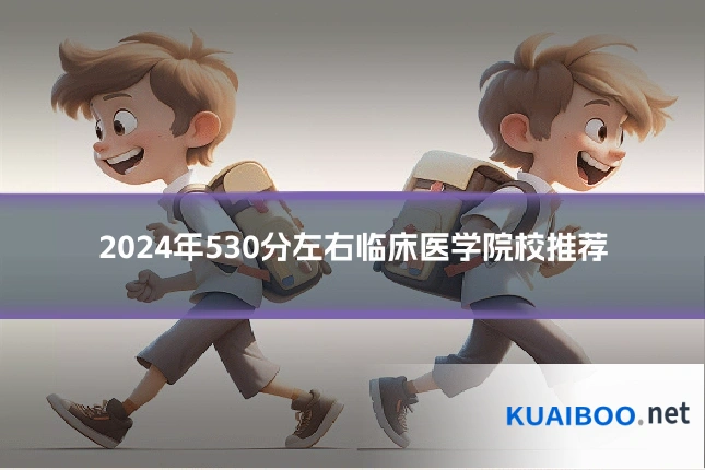 2024年530分左右临床医学院校推荐