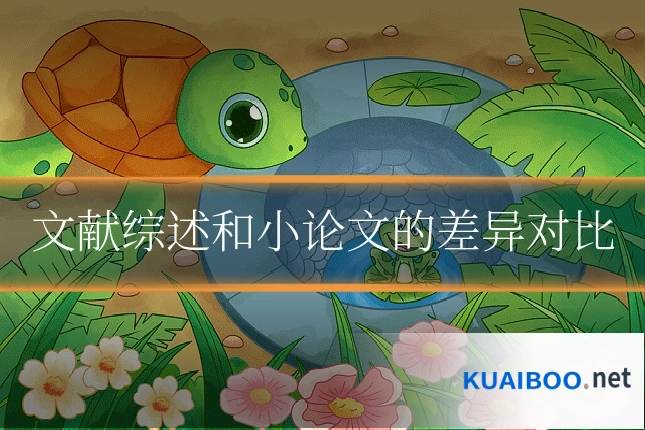 文献综述和小论文的差异对比