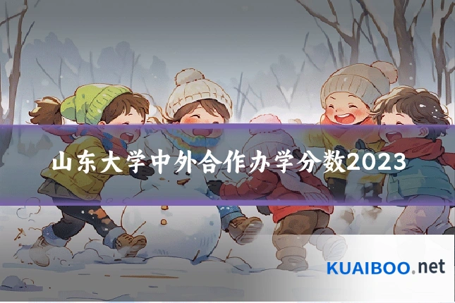 山东大学中外合作办学分数2023