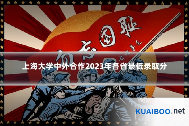 上海大学中外合作2023年各省最低录取分