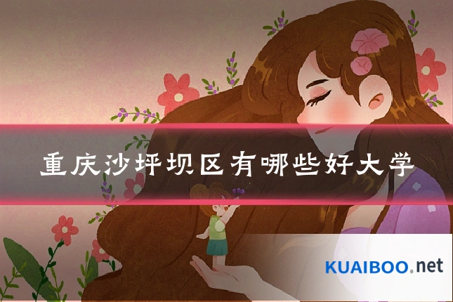重庆沙坪坝区有哪些好大学