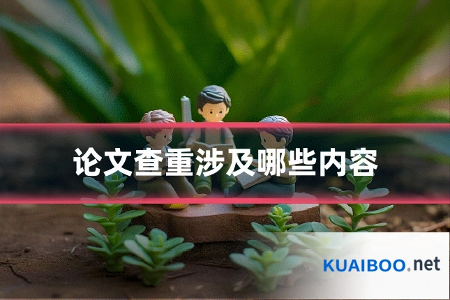 论文查重涉及哪些内容