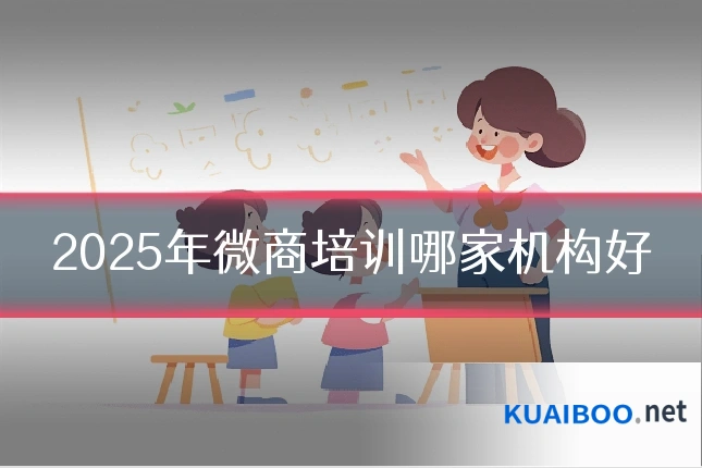2025年微商培训哪家机构好