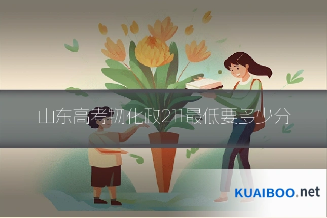 山东高考物化政211最低要多少分