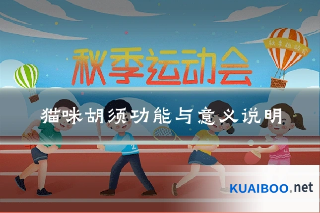 猫咪胡须功能与意义说明