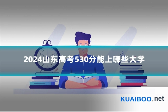 2024山东高考530分能上哪些大学