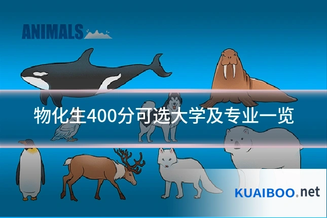 物化生400分可选大学及专业一览