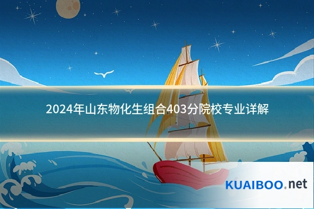 2024年山东物化生组合403分院校专业详解
