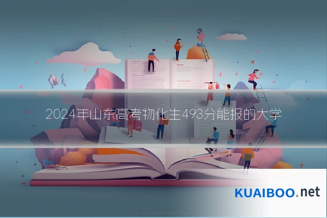 2024年山东高考物化生493分能报的大学