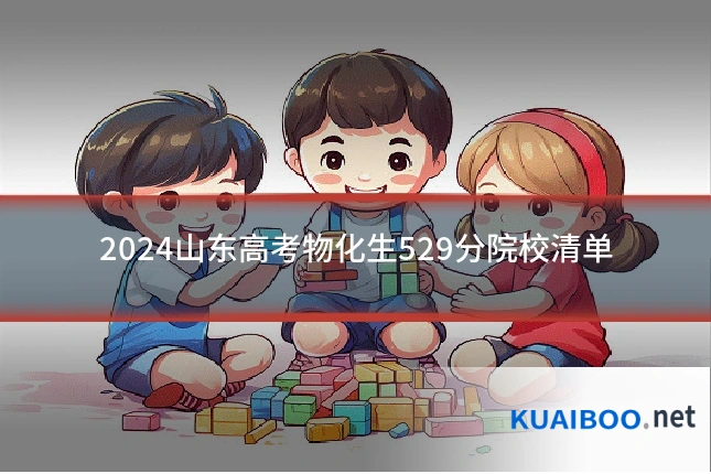 2024山东高考物化生529分院校清单