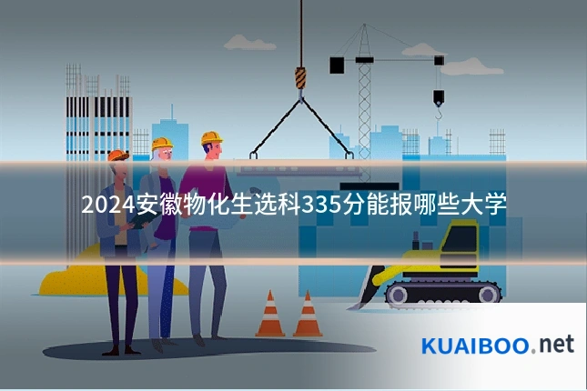 2024安徽物化生选科335分能报哪些大学