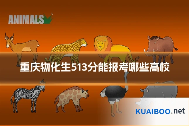 重庆物化生513分能报考哪些高校