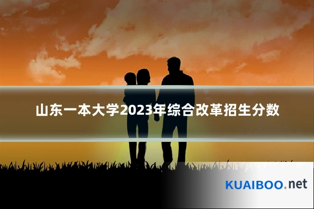 山东一本大学2023年综合改革招生分数