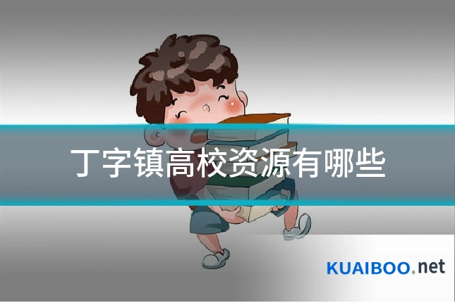 丁字镇高校资源有哪些