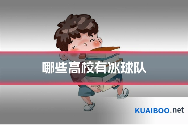 哪些高校有冰球队