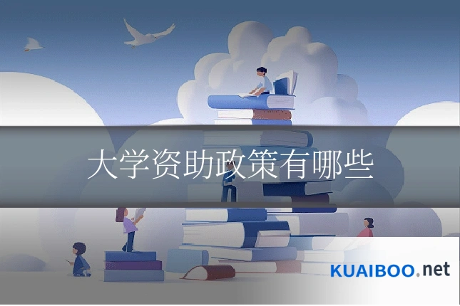 大学资助政策有哪些
