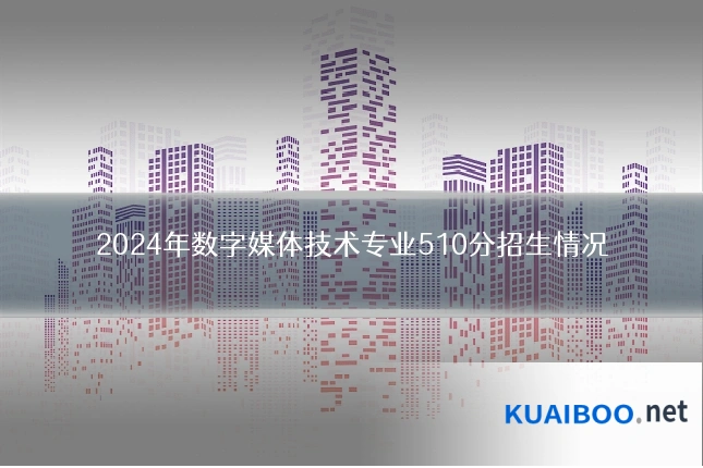 2024年数字媒体技术专业510分招生情况