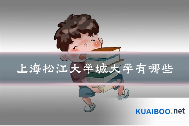 上海松江大学城大学有哪些