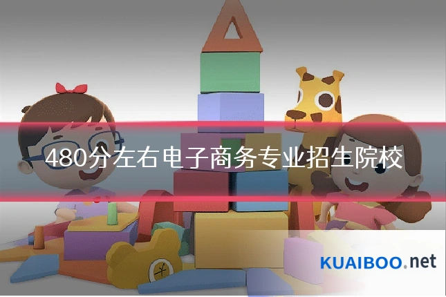 480分左右电子商务专业招生院校