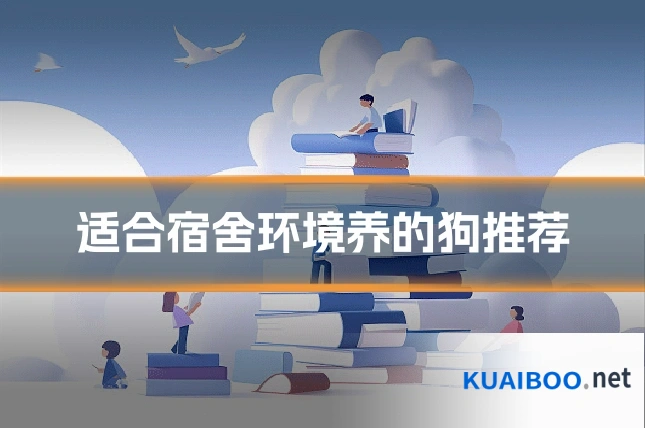 适合宿舍环境养的狗推荐