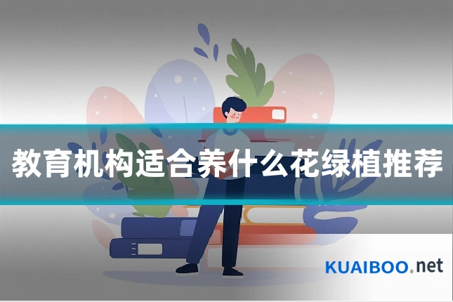教育机构适合养什么花绿植推荐