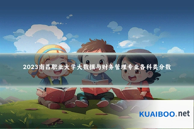 2023南昌职业大学大数据与财务管理专业各科类分数