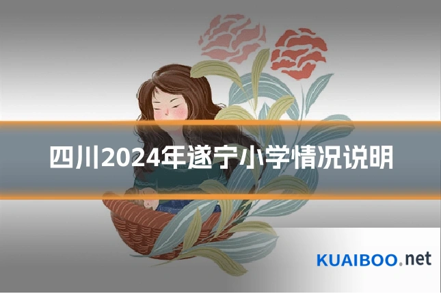 四川2024年遂宁小学情况说明