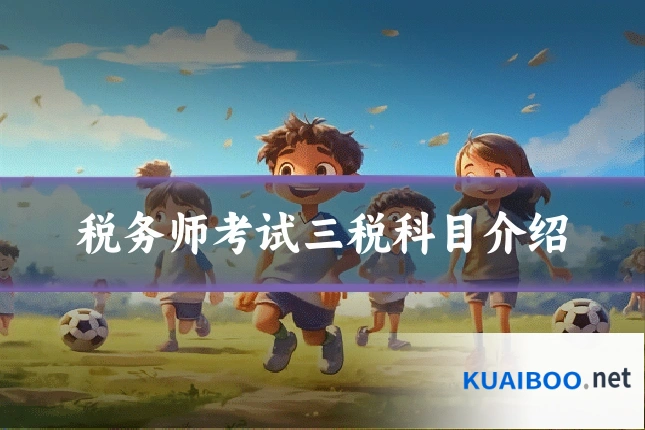 税务师考试三税科目介绍