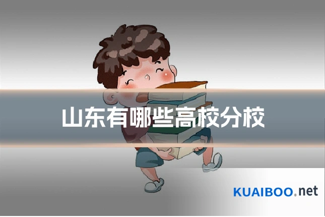 山东有哪些高校分校