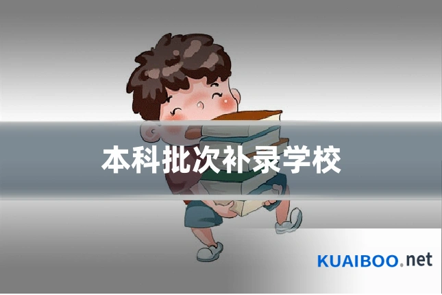 本科批次补录学校