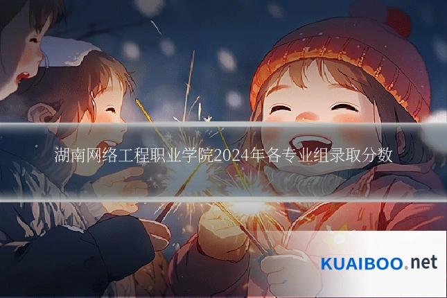 湖南网络工程职业学院2024年各专业组录取分数