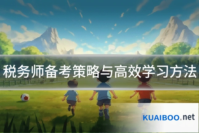 税务师备考策略与高效学习方法