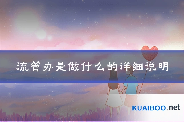 流管办是做什么的详细说明