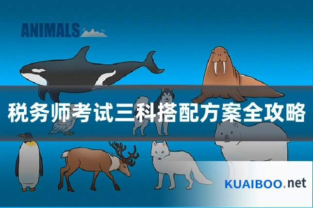 税务师考试三科搭配方案全攻略