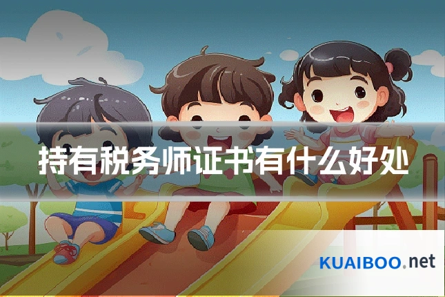 持有税务师证书有什么好处