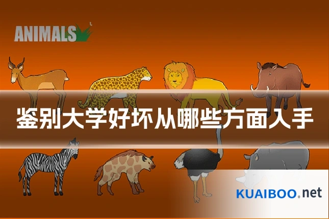鉴别大学好坏从哪些方面入手