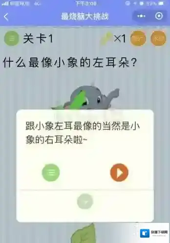 什么最像小象的左耳朵 微信最烧脑大挑战第1关答案