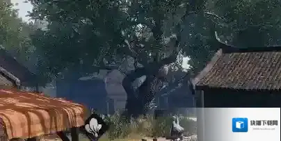 下一站江湖Ⅱ松木