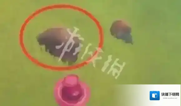 波西亚时光红色