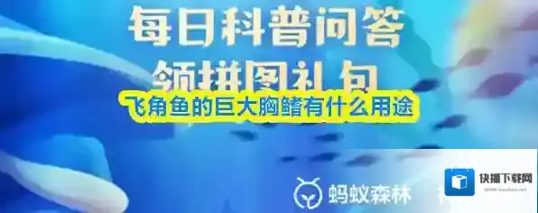 飞角鱼的巨大胸鳍有什么用途